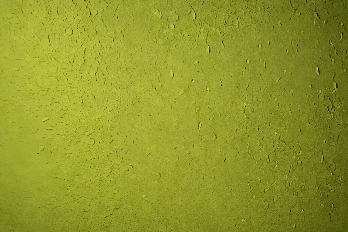 Tadelakt Plaster for 